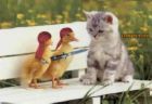 460>_792333